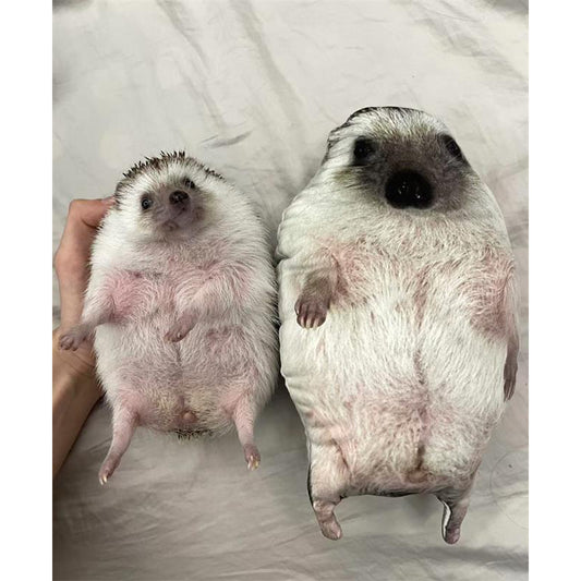 Custom Hedgehog Pillow
